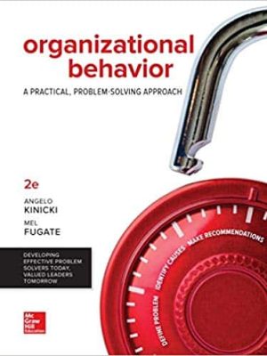 Organizational Behavior: A Practical, Problem-Solving Approach (2nd Edition) eBook PDF
